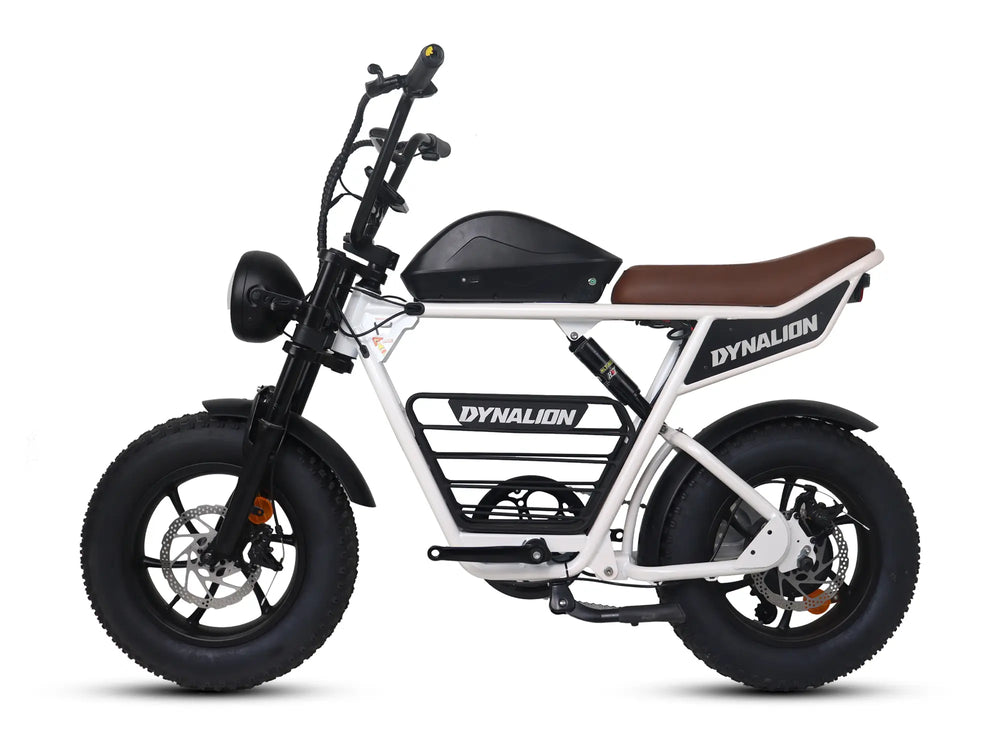 DYNALION K6S fat tire electric bike