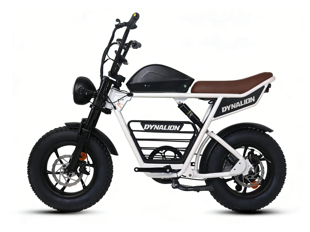 FAT TIRE ELECTRIC BIKE---K6S