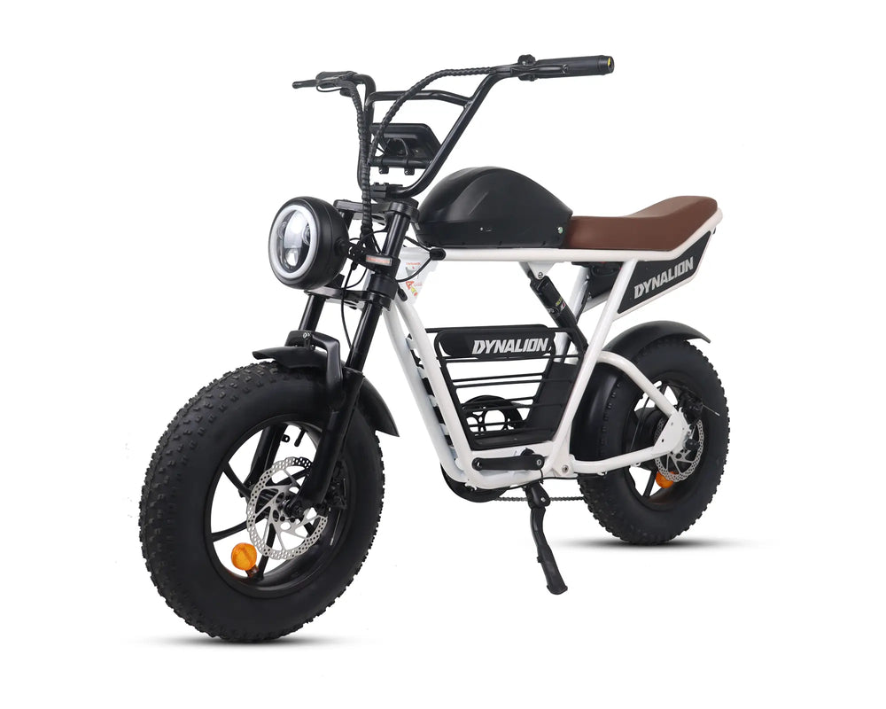 FAT TIRE ELECTRIC BIKE---K6S